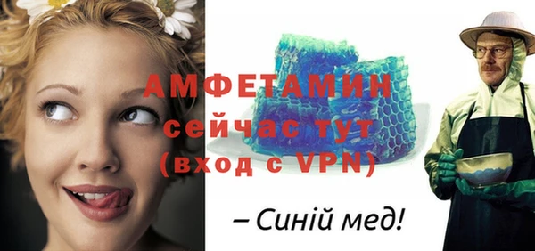 прущие грибы Ельня