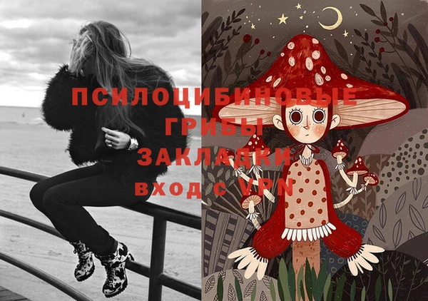 круглые Алзамай