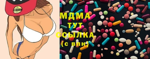 индика Елизово