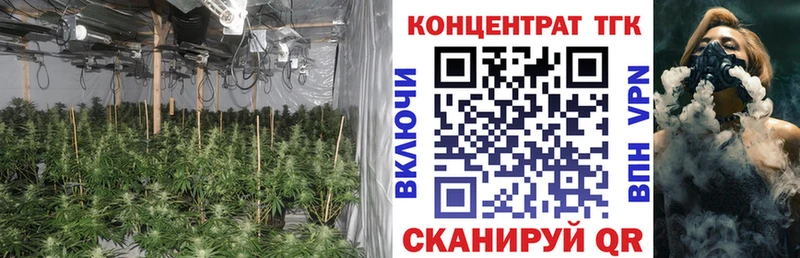 купить наркотик  Питкяранта  ссылка на мегу ONION  Дистиллят ТГК жижа 